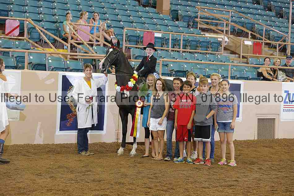 Proof 13yn_01896