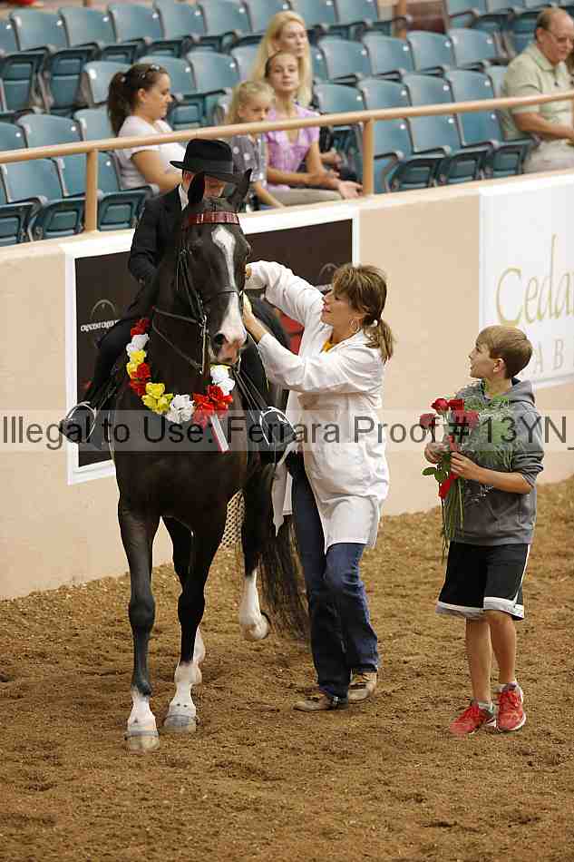 Proof 13yn_01901