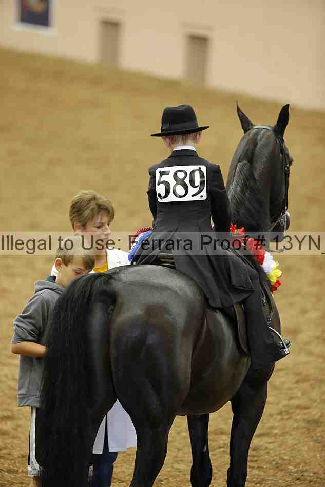 Proof 13yn_01904