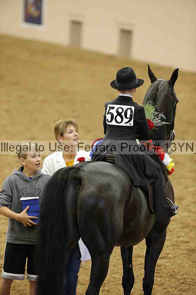 Proof 13yn_01905