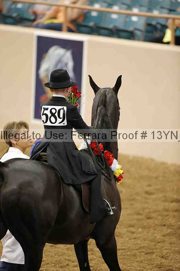 Proof 13yn_01906