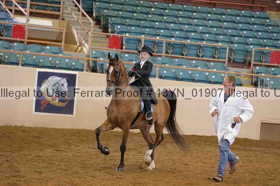 Proof 13yn_01907