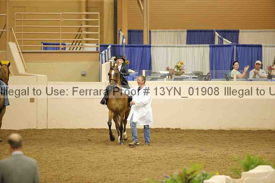 Proof 13yn_01908