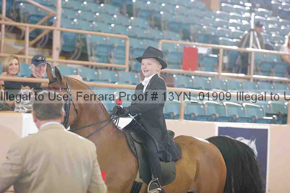 Proof 13yn_01909