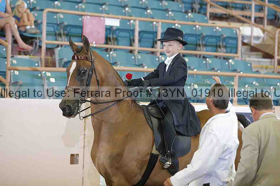 Proof 13yn_01910