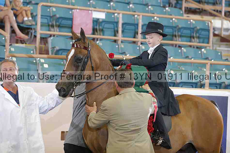 Proof 13yn_01911