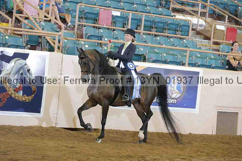Proof 13yn_01937