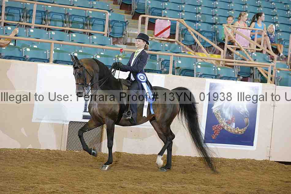 Proof 13yn_01938