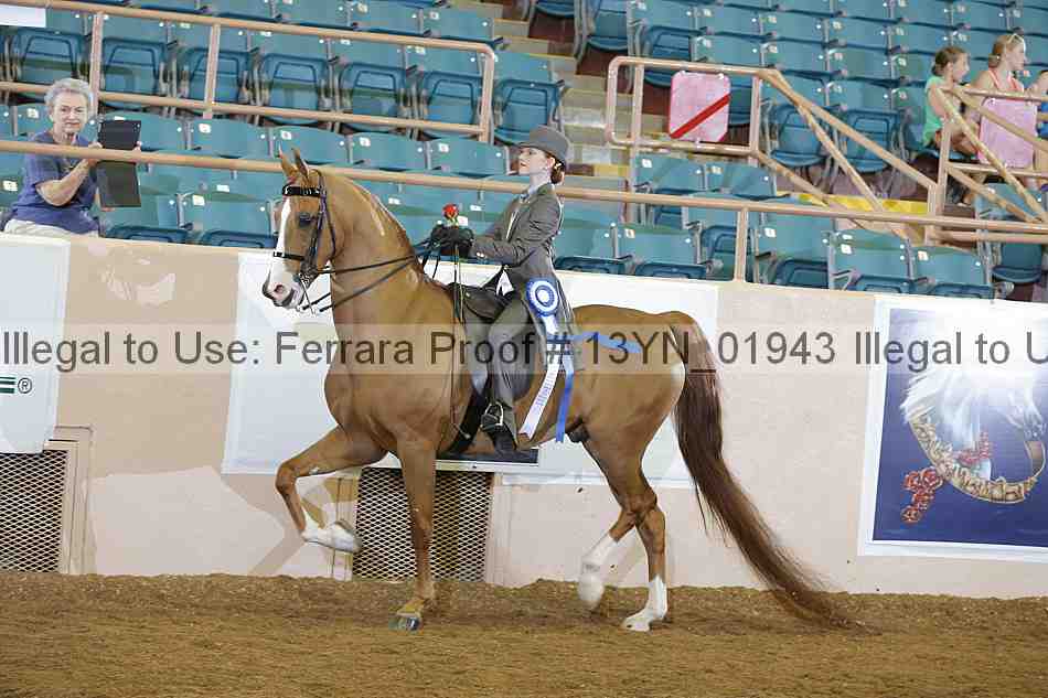 Proof 13yn_01943