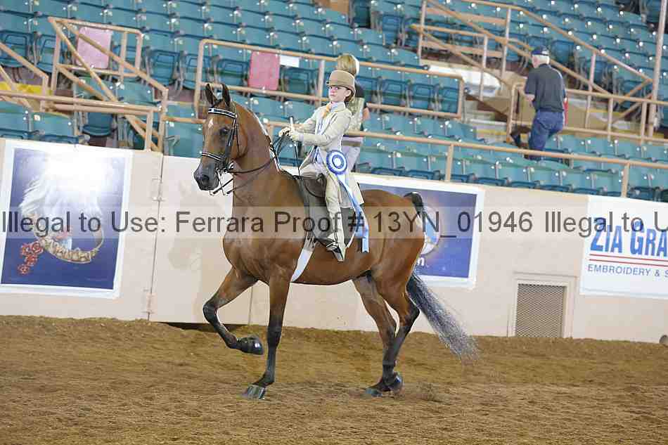 Proof 13yn_01946