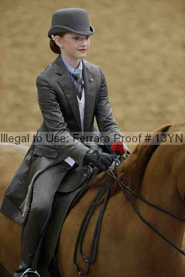 Proof 13yn_01948