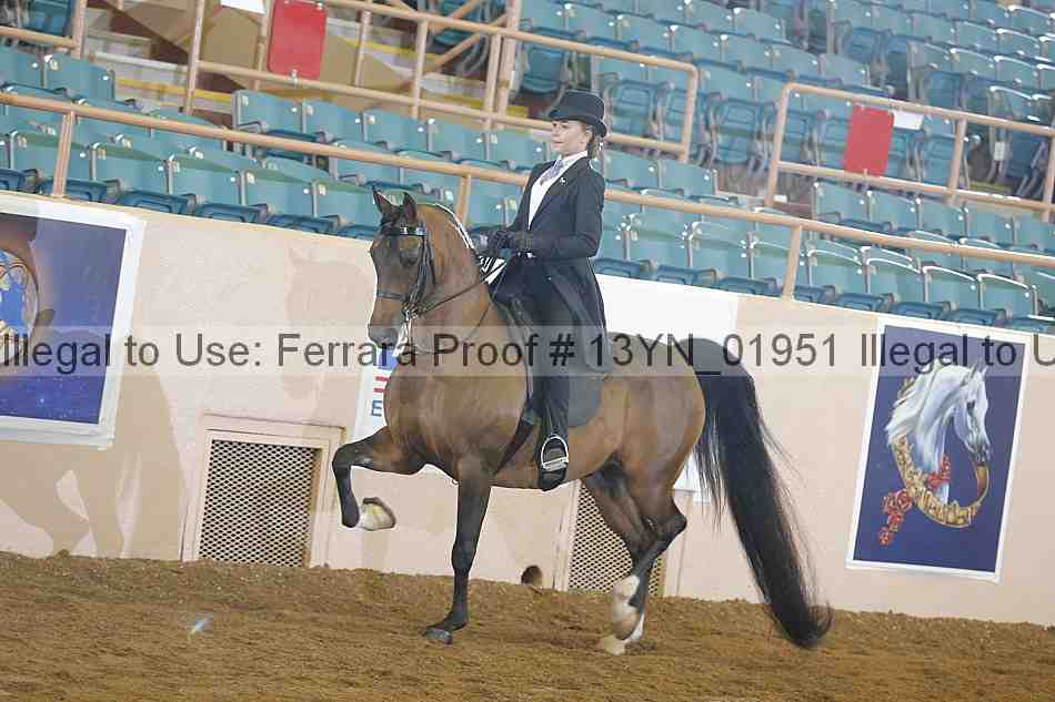 Proof 13yn_01951