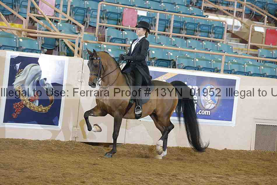 Proof 13yn_01952