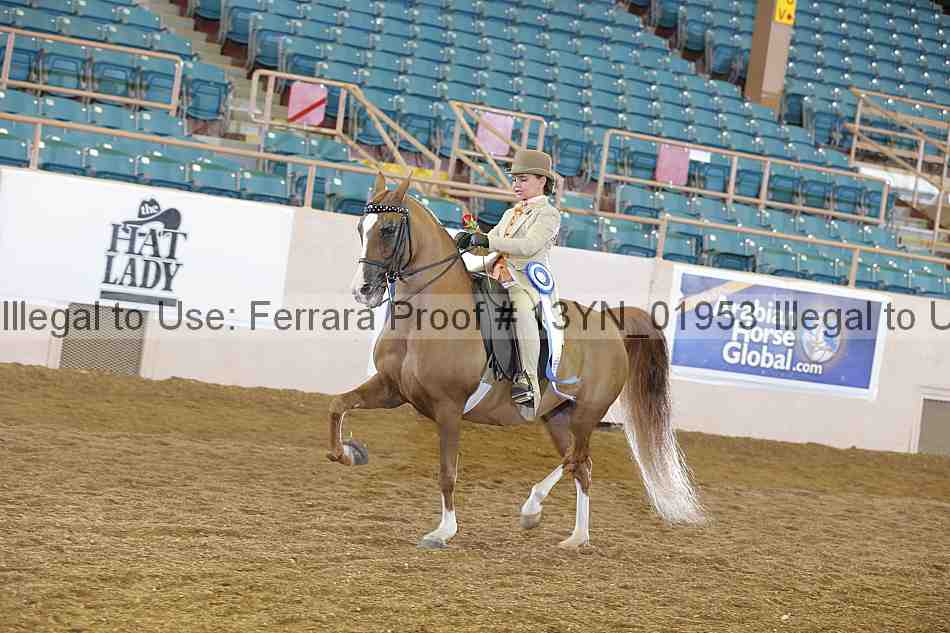 Proof 13yn_01953