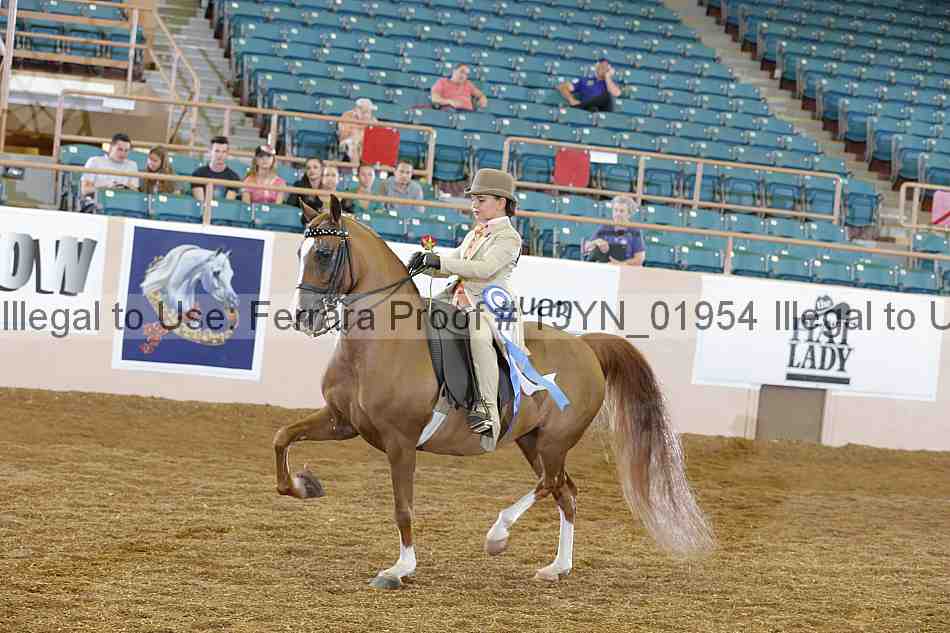 Proof 13yn_01954