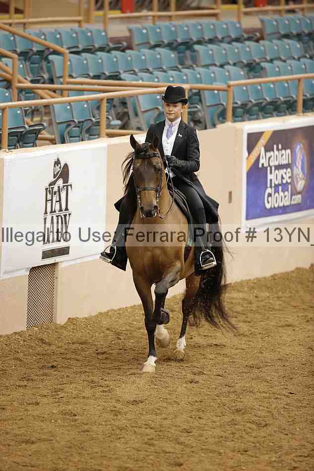 Proof 13yn_01955