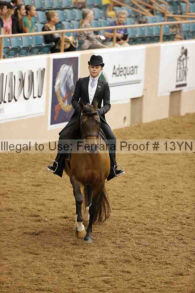 Proof 13yn_01956