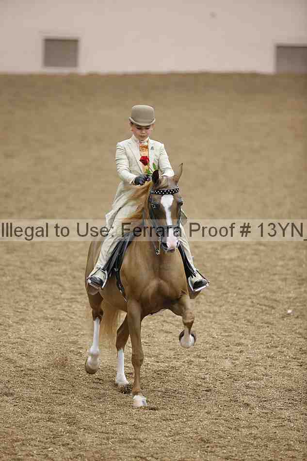 Proof 13yn_01957
