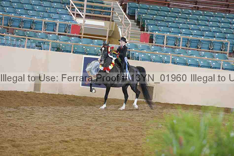 Proof 13yn_01960