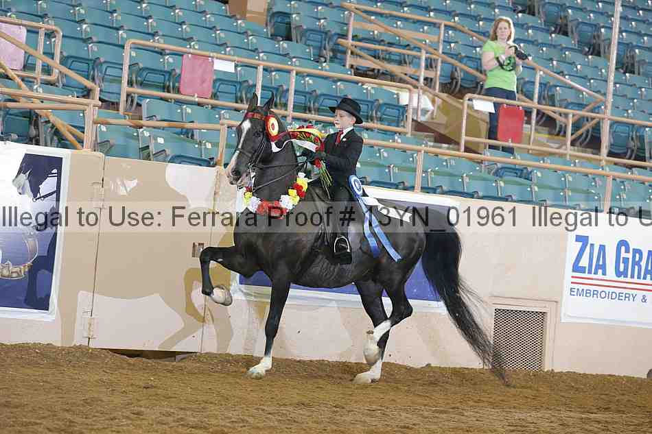 Proof 13yn_01961