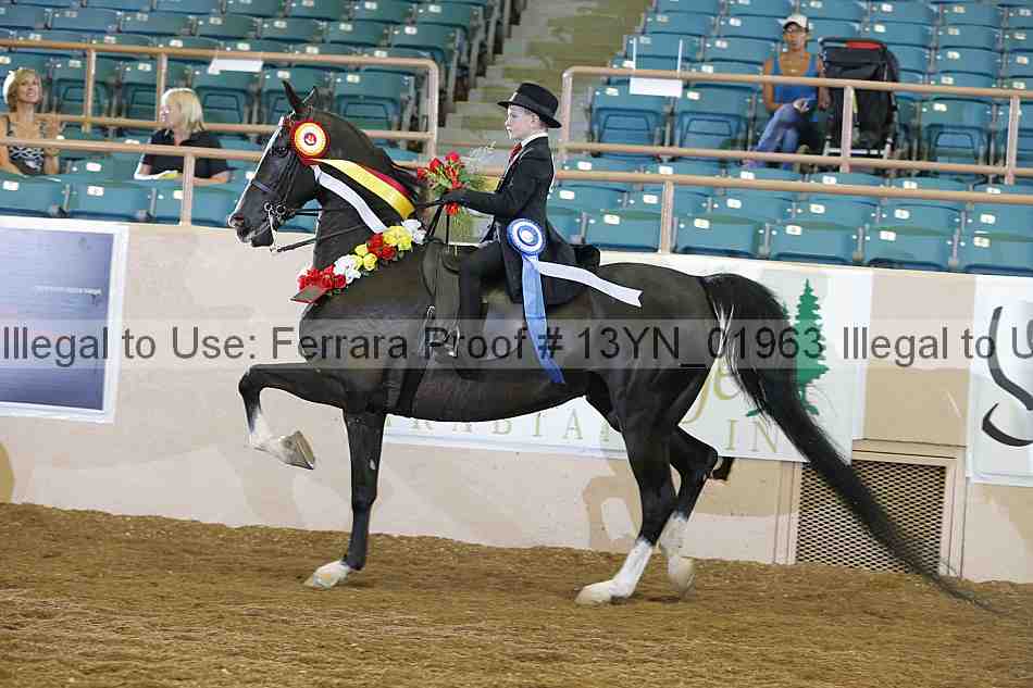 Proof 13yn_01963