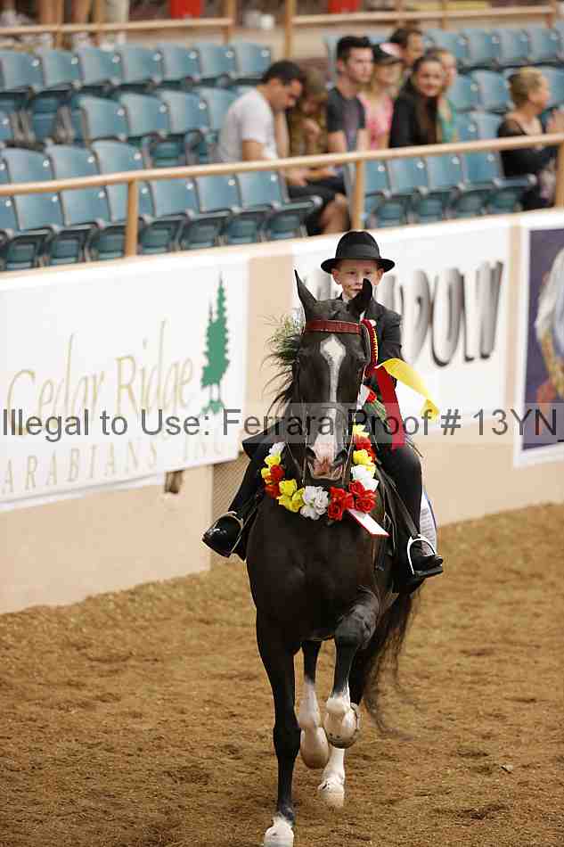 Proof 13yn_01966