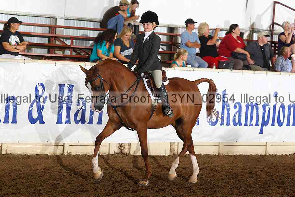Proof 13yn_02954