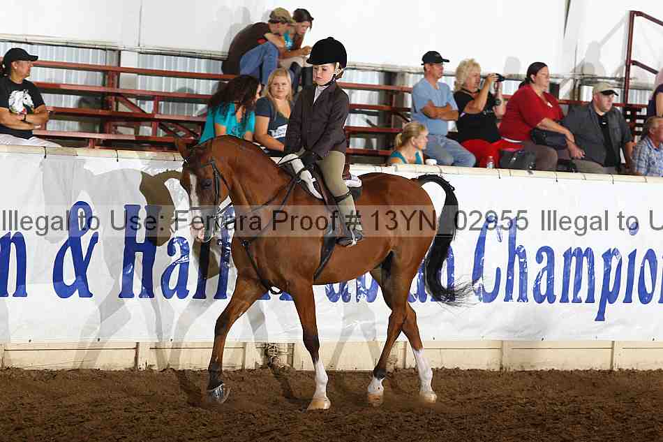 Proof 13yn_02955