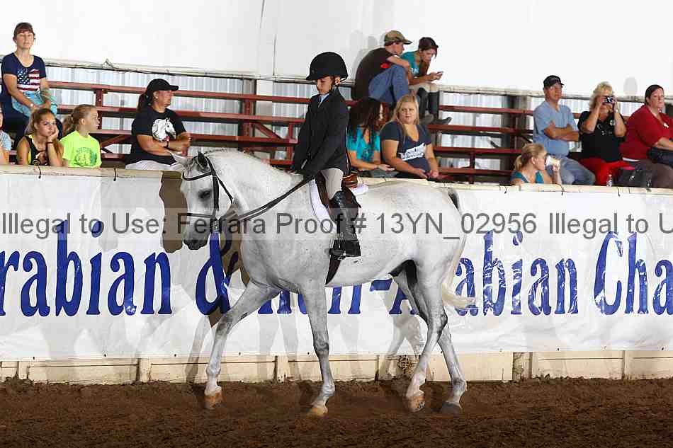 Proof 13yn_02956