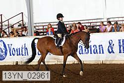13yn_02961 proof