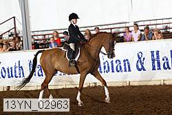 13yn_02963 proof