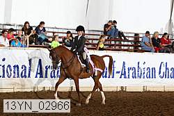 13yn_02966 proof