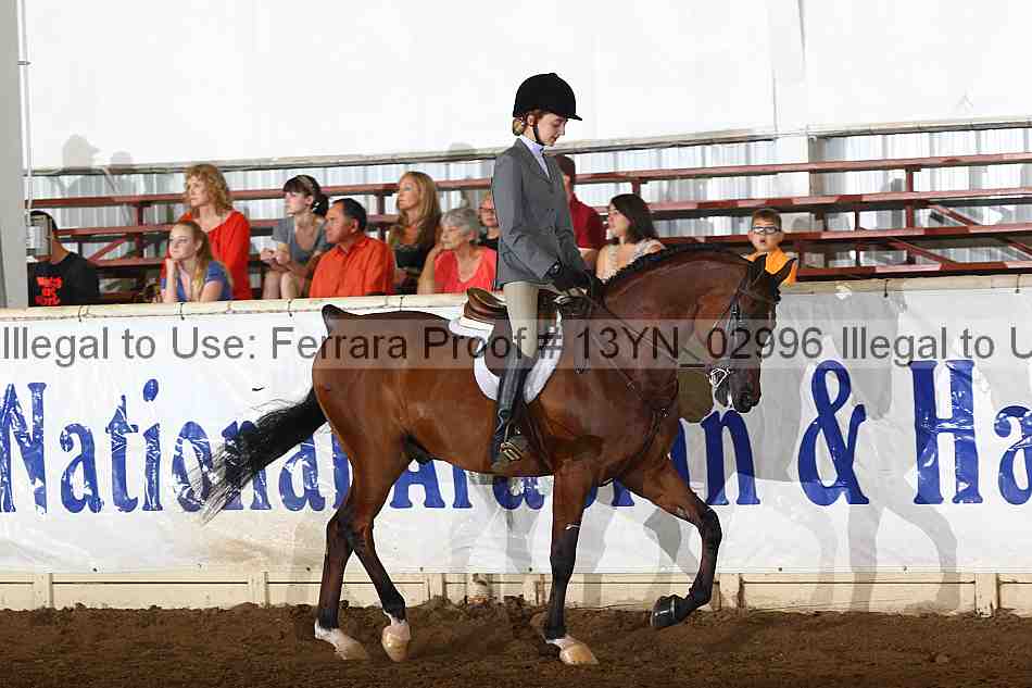 Proof 13yn_02996