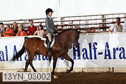 13yn_03002 proof