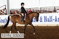 13yn_03003 proof