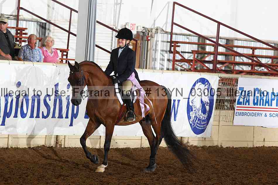 Proof 13yn_03005