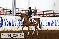 13yn_03017 proof