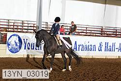 13yn_03019 proof