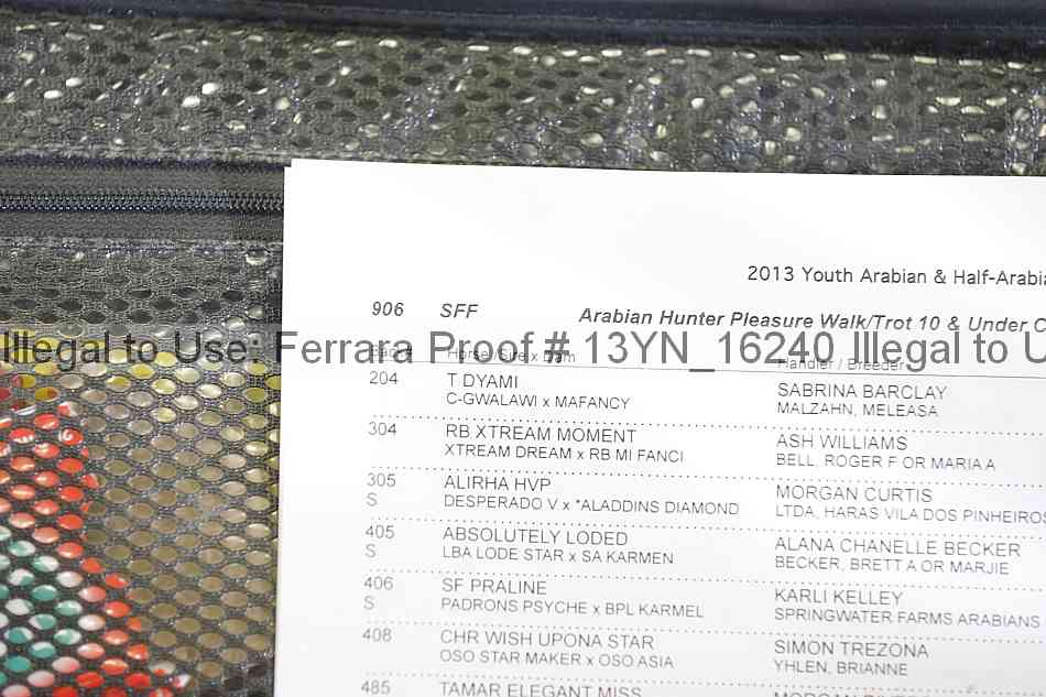 Proof 13yn_16240