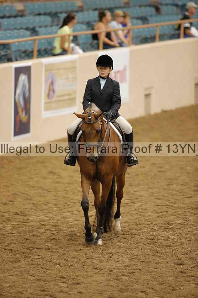 Proof 13yn_16251