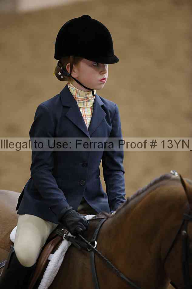 Proof 13yn_16290