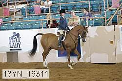 13yn_16311 proof