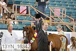 13yn_16342 proof