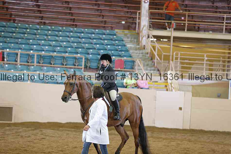 Proof 13yn_16361