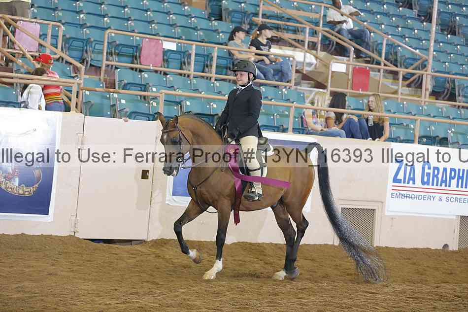 Proof 13yn_16393