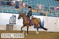 13yn_16398 proof