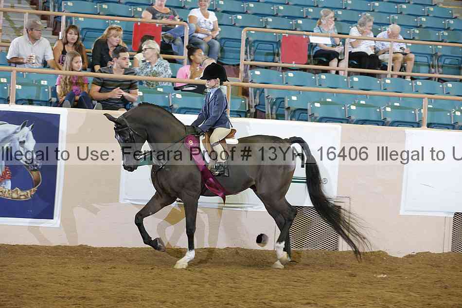 Proof 13yn_16406