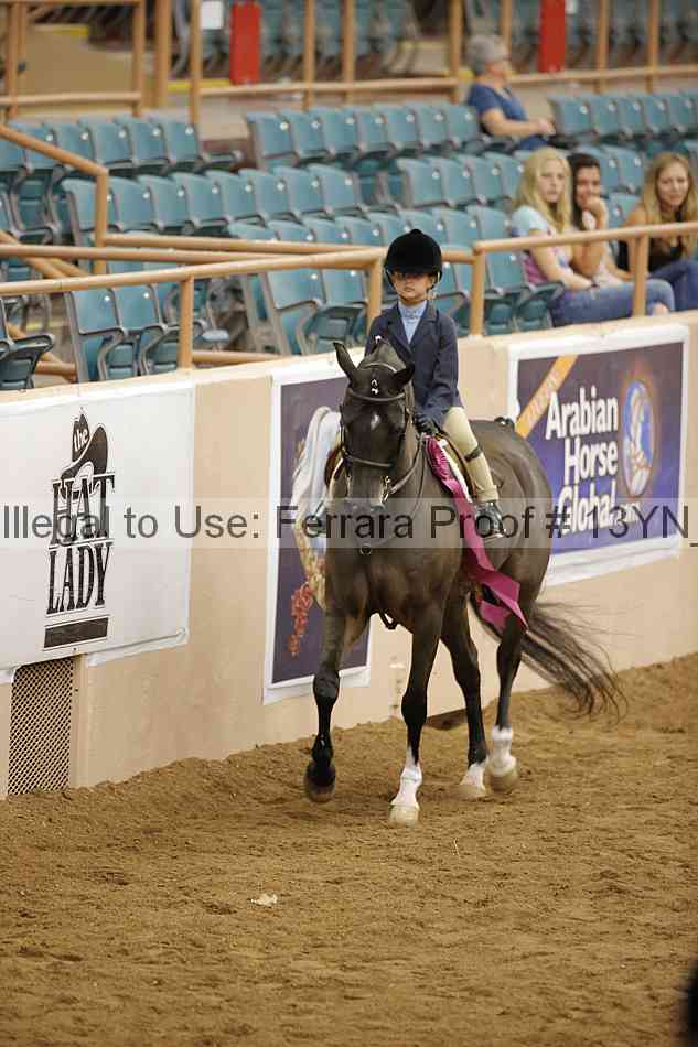 Proof 13yn_16407