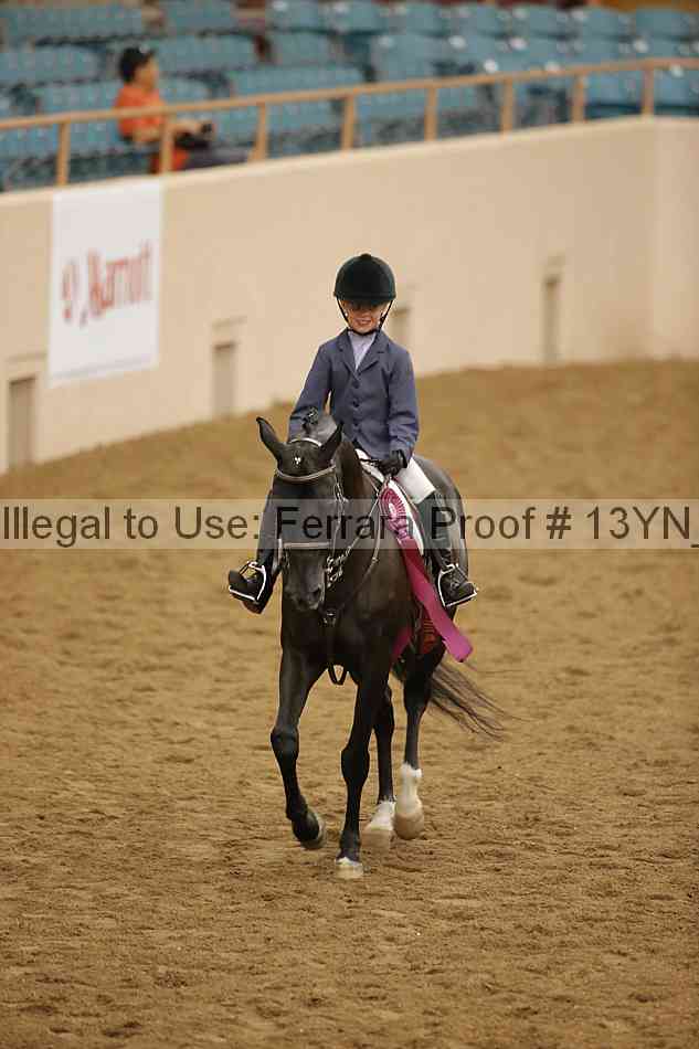 Proof 13yn_16409