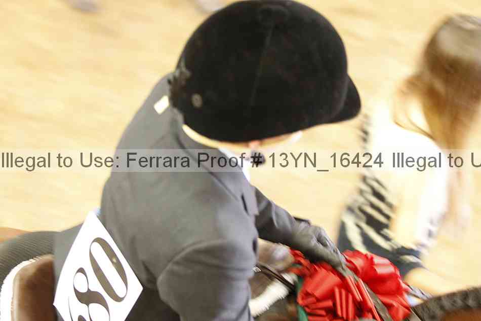 Proof 13yn_16424